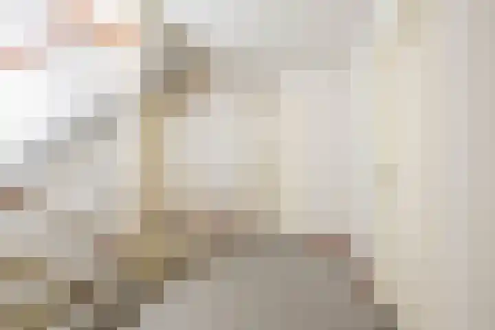 Henriette Roland Holstlaan 1 Lisse thumbnail 17