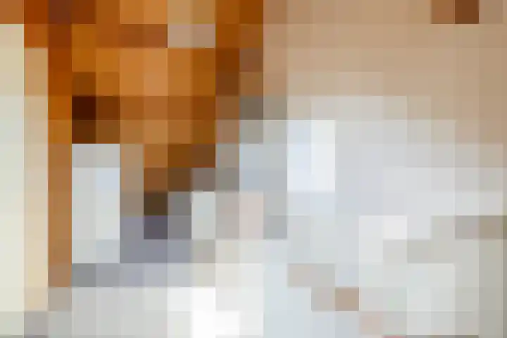 Henriette Roland Holstlaan 1 Lisse thumbnail 32