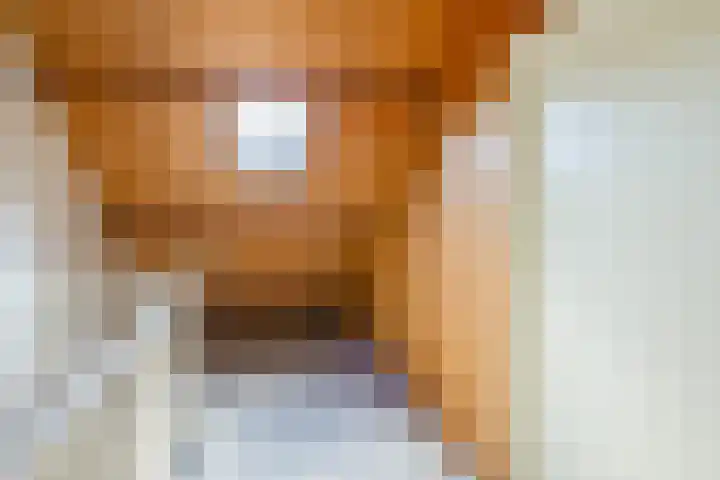 Henriette Roland Holstlaan 1 Lisse thumbnail 33
