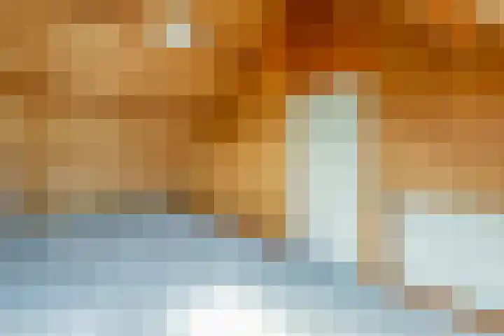 Henriette Roland Holstlaan 1 Lisse thumbnail 34