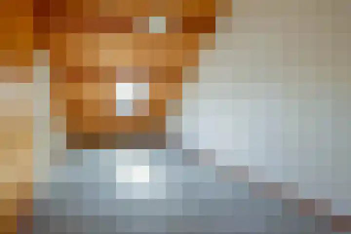 Henriette Roland Holstlaan 1 Lisse thumbnail 35