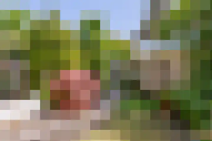 Henriette Roland Holstlaan 1 Lisse thumbnail 38