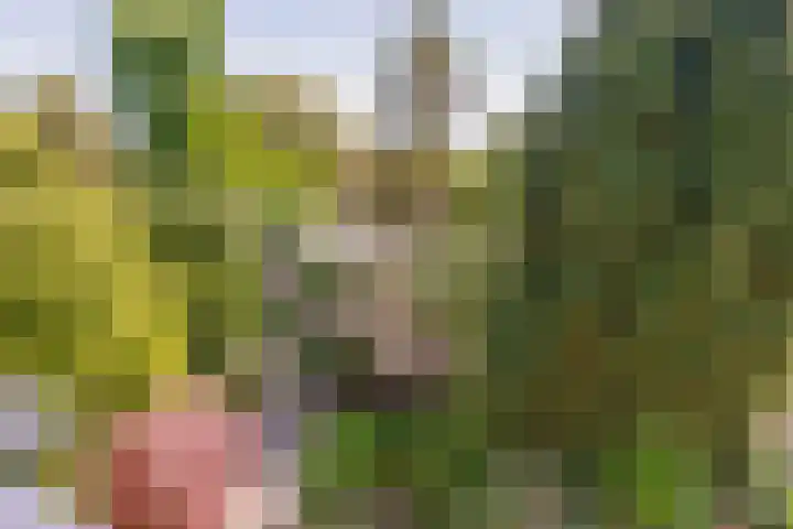 Henriette Roland Holstlaan 1 Lisse thumbnail 40