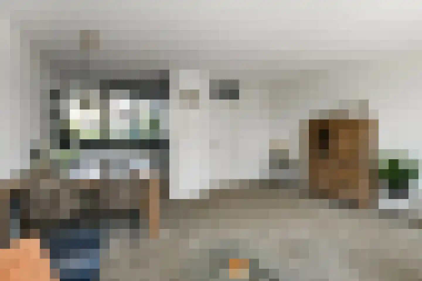 Henriëtte Roland Holstlaan 10 Elst thumbnail 10