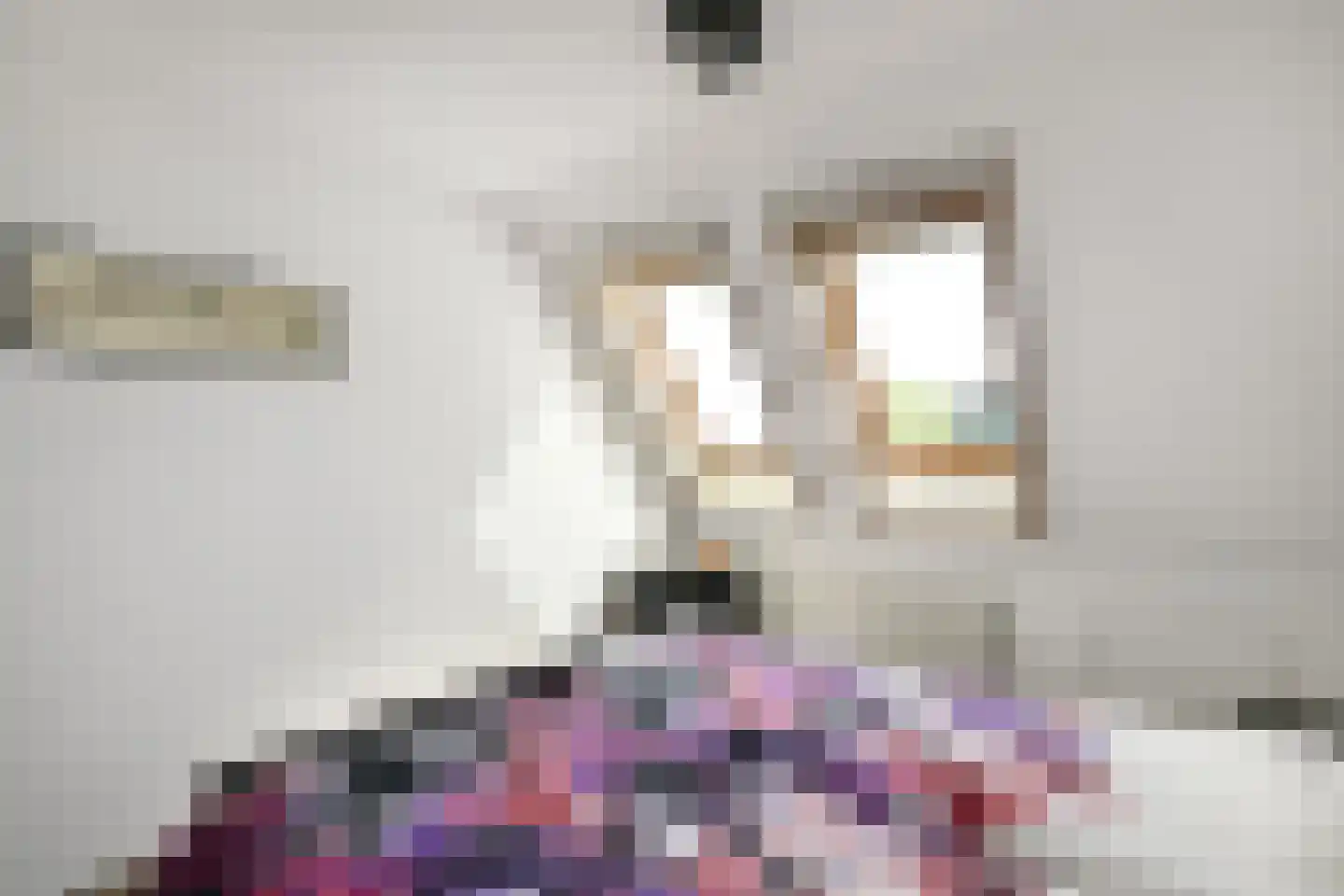 Henriëtte Roland Holstlaan 10 Elst thumbnail 19