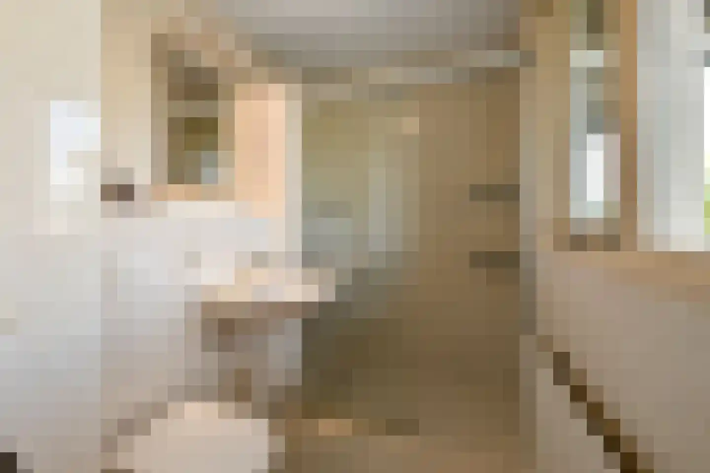 Henriëtte Roland Holstlaan 10 Elst thumbnail 24