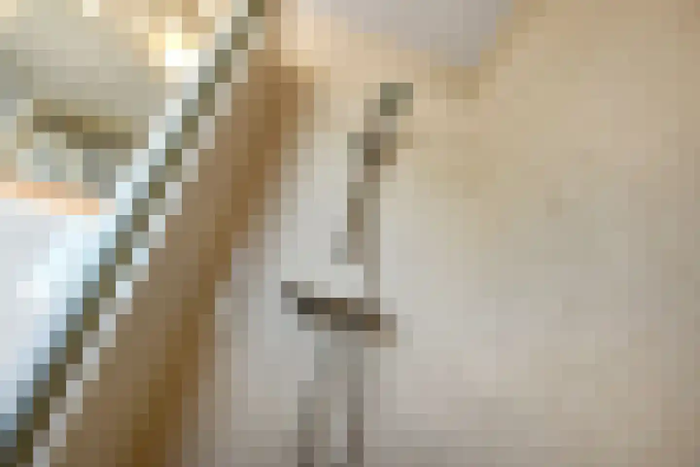 Henriëtte Roland Holstlaan 10 Elst thumbnail 25