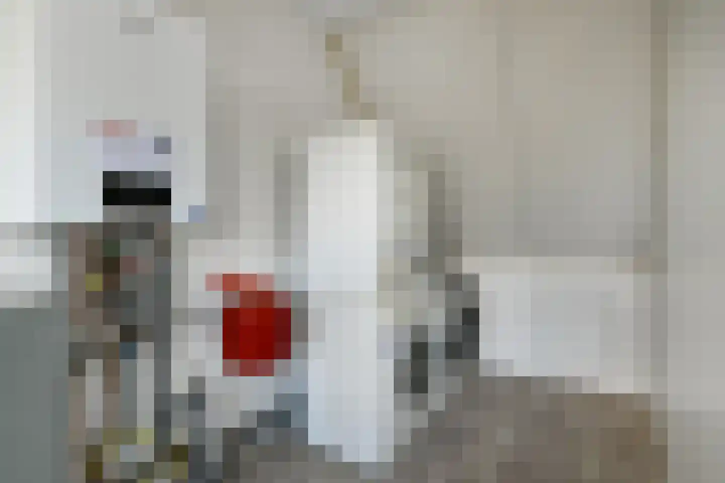 Henriëtte Roland Holstlaan 10 Elst thumbnail 31