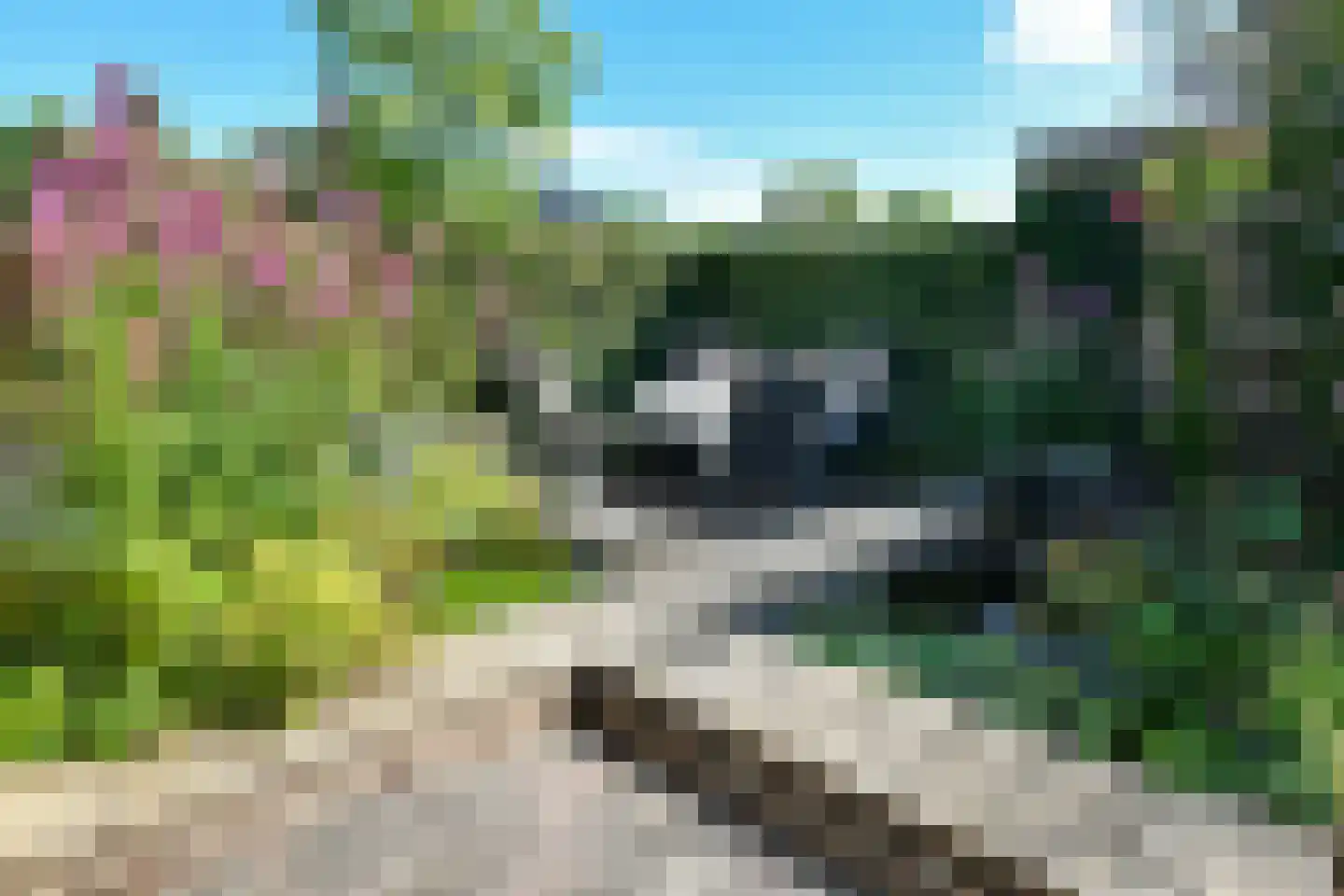 Henriëtte Roland Holstlaan 10 Elst thumbnail 34
