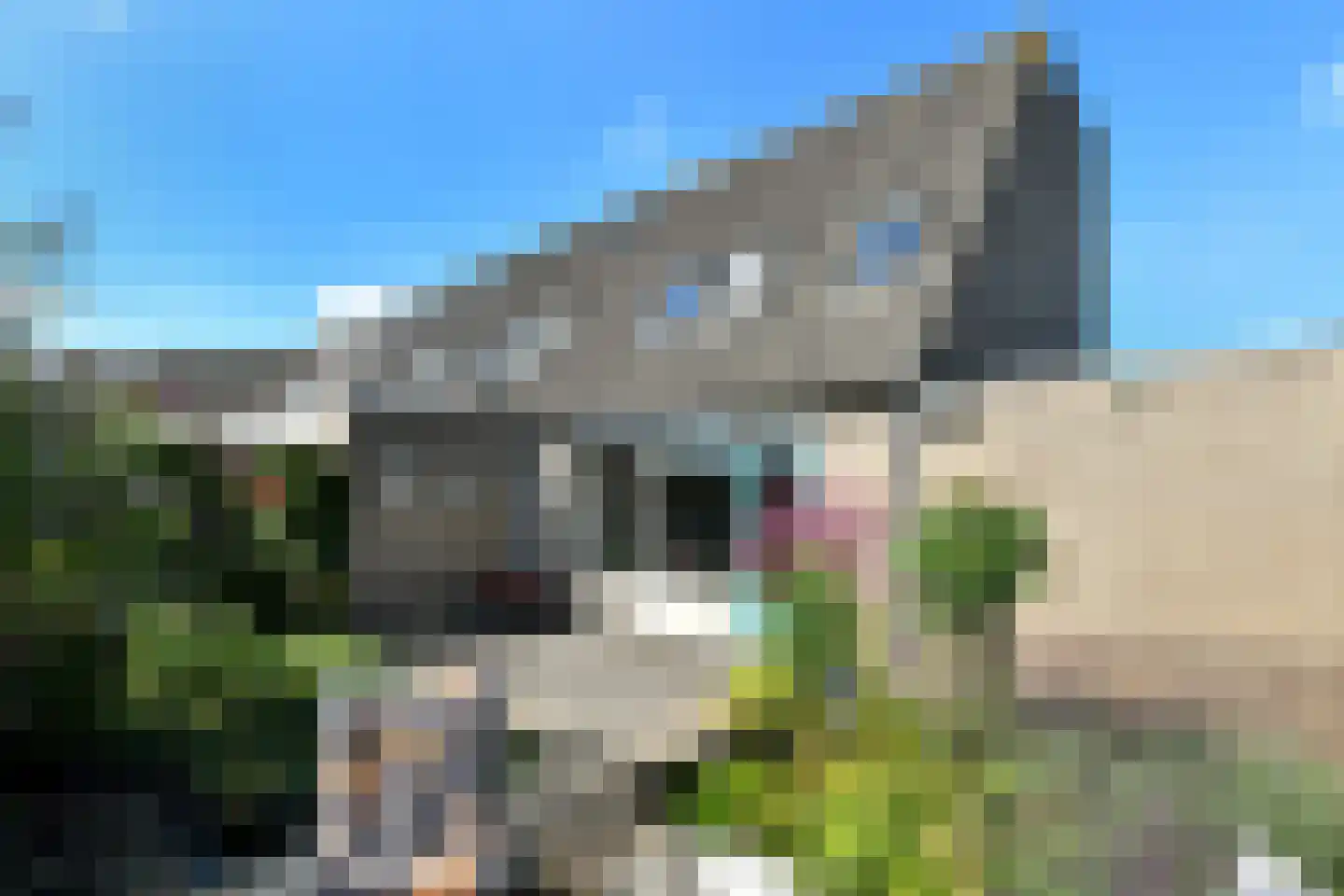 Henriëtte Roland Holstlaan 10 Elst thumbnail 37