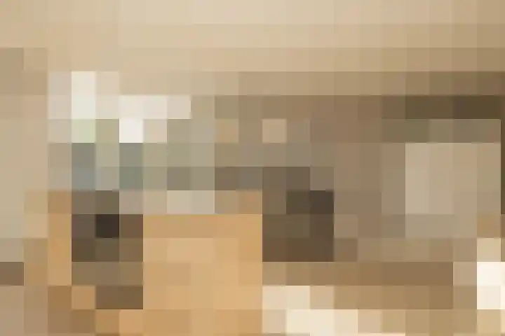 Henriette Roland Holstlaan 11 Lisse thumbnail 10