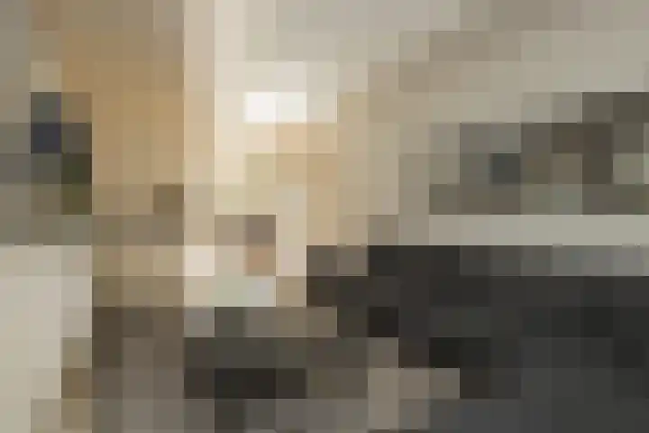 Henriette Roland Holstlaan 11 Lisse thumbnail 19
