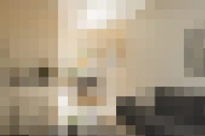 Henriette Roland Holstlaan 11 Lisse thumbnail 20