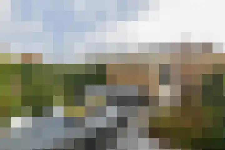 Henriette Roland Holstlaan 11 Lisse thumbnail 29