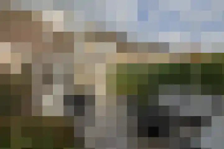 Henriette Roland Holstlaan 11 Lisse thumbnail 31