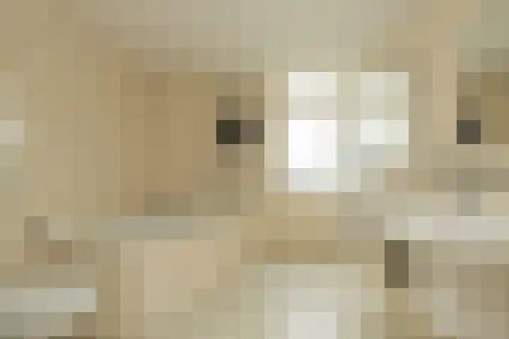 Henriette Roland Holstlaan 11 Lisse thumbnail 35