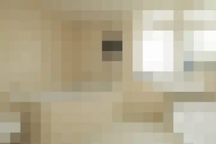 Henriette Roland Holstlaan 11 Lisse thumbnail 36