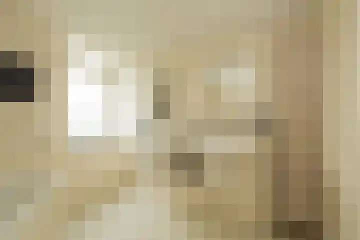 Henriette Roland Holstlaan 11 Lisse thumbnail 37