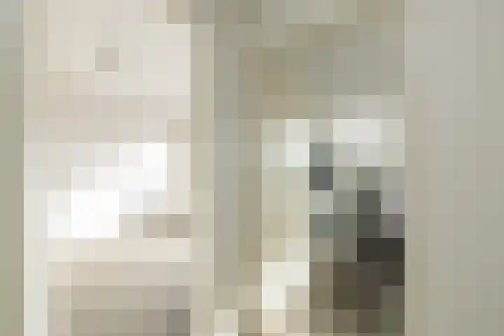 Henriette Roland Holstlaan 11 Lisse thumbnail 44