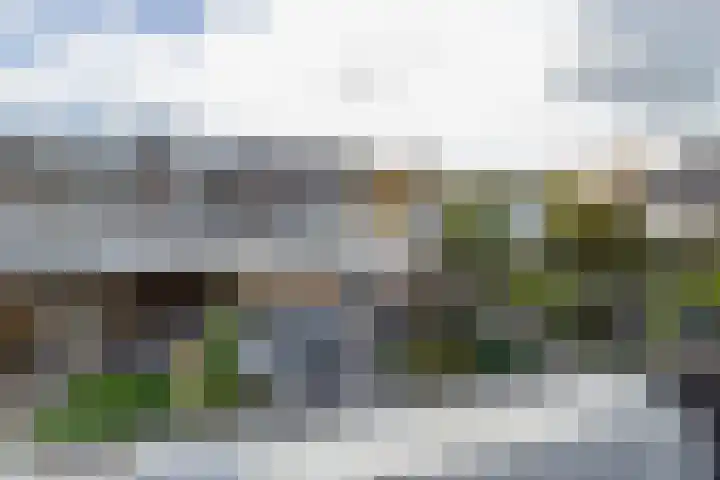 Henriette Roland Holstlaan 11 Lisse thumbnail 49
