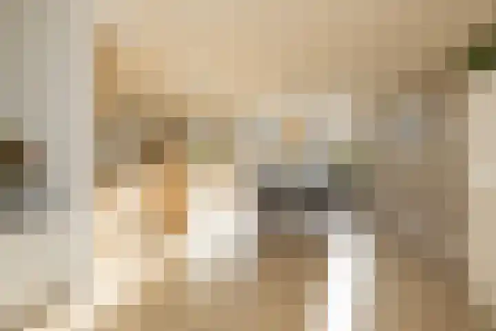 Henriette Roland Holstlaan 11 Lisse thumbnail 5