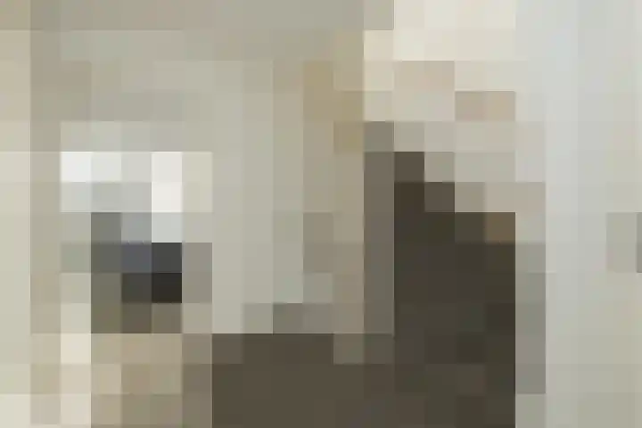 Henriette Roland Holstlaan 11 Lisse thumbnail 54