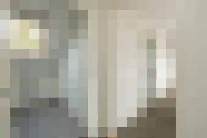 Henriette Roland Holstlaan 11 Lisse thumbnail 57