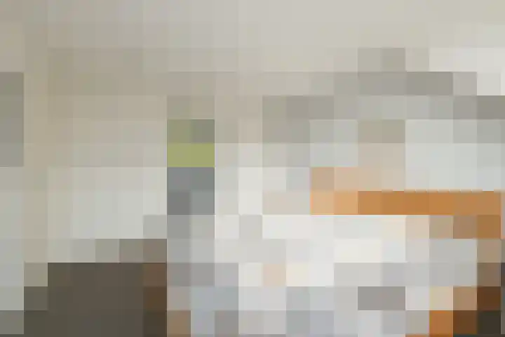 Henriette Roland Holstlaan 11 Lisse thumbnail 61