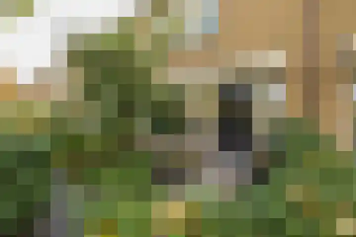 Henriette Roland Holstlaan 11 Lisse thumbnail 68