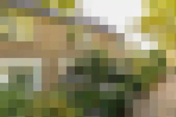Henriette Roland Holstlaan 11 Lisse thumbnail 69