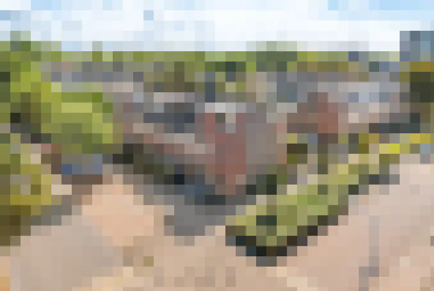 Henriëtte Roland Holstlaan 13 Hoofddorp thumbnail 4