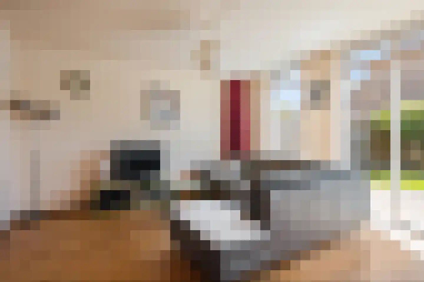 Henriëtte Roland Holstlaan 13 Hoofddorp thumbnail 7