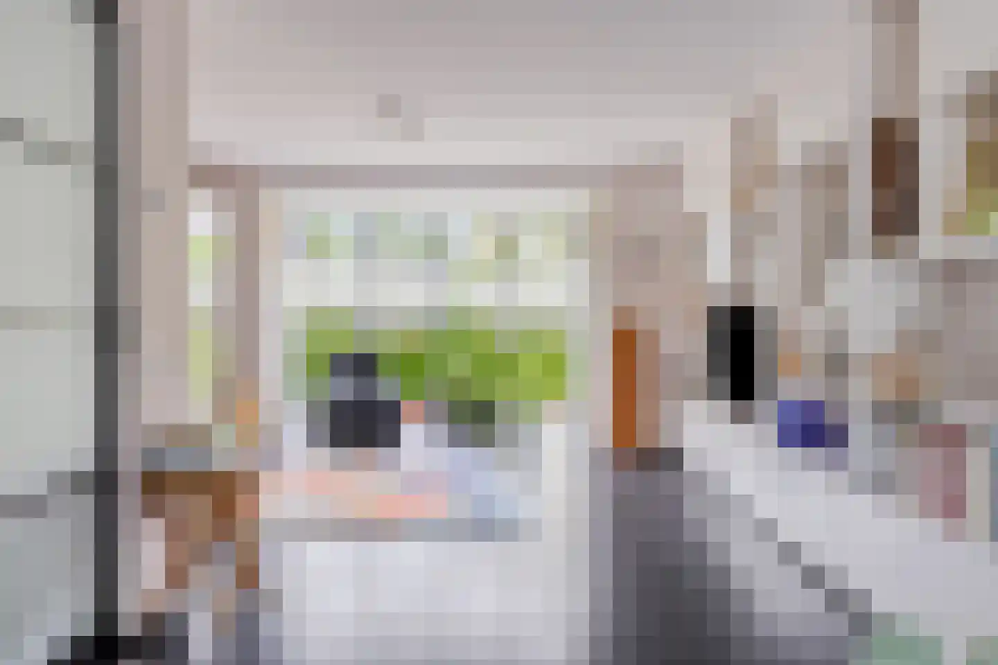 Henriëtte Roland Holstlaan 20 Elst thumbnail 10