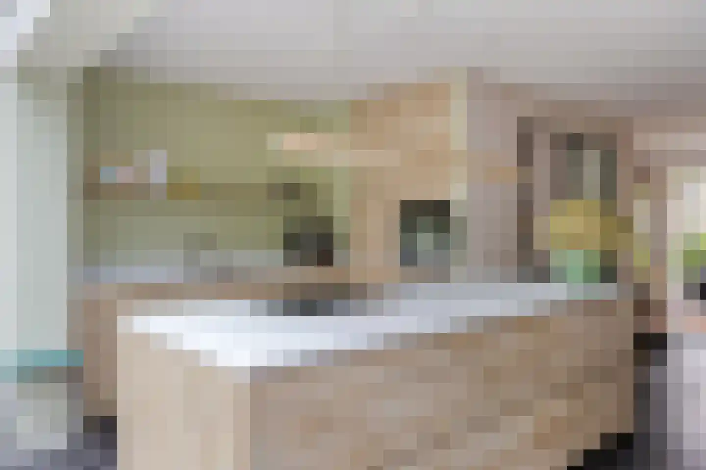 Henriëtte Roland Holstlaan 20 Elst thumbnail 14