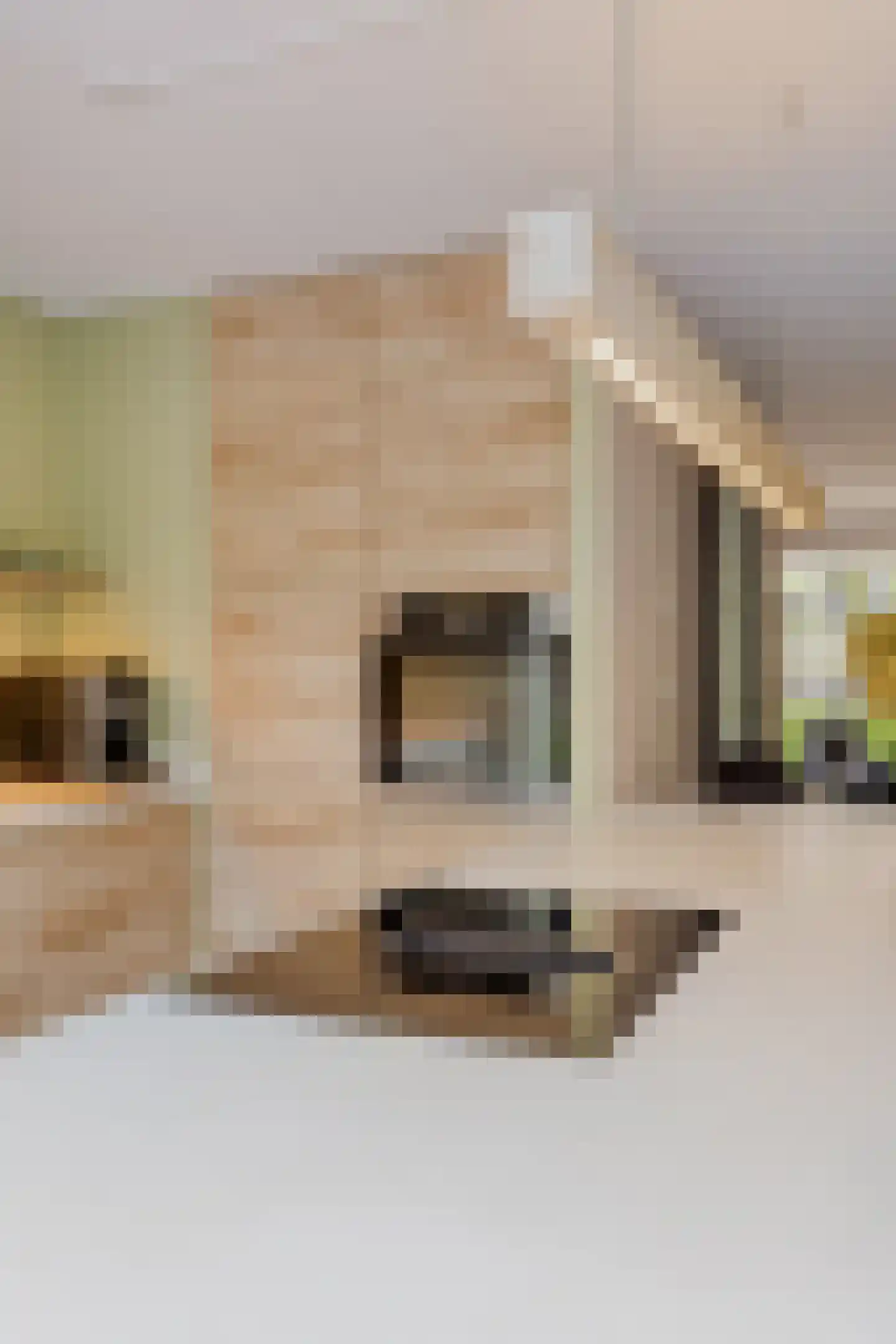 Henriëtte Roland Holstlaan 20 Elst thumbnail 16