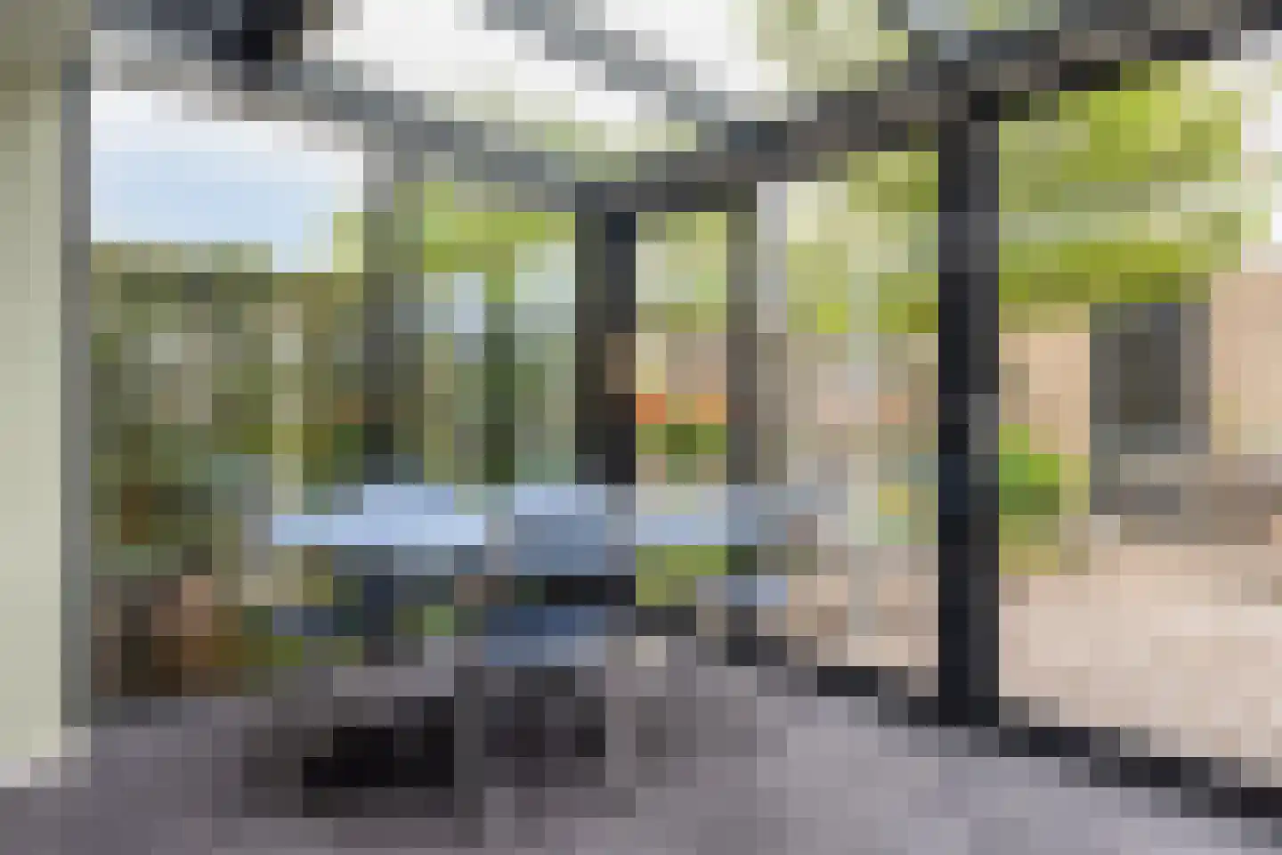 Henriëtte Roland Holstlaan 20 Elst thumbnail 17
