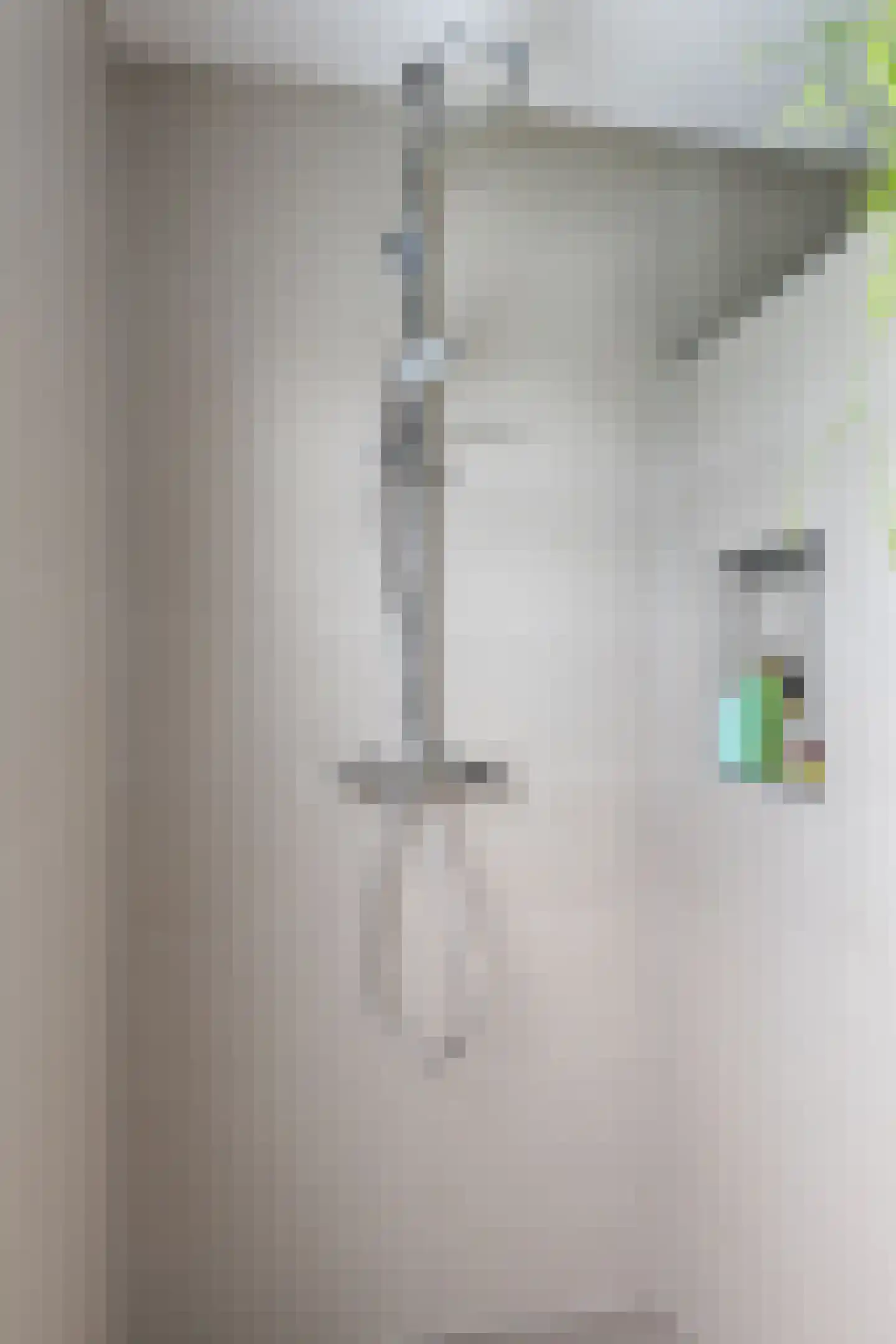 Henriëtte Roland Holstlaan 20 Elst thumbnail 23
