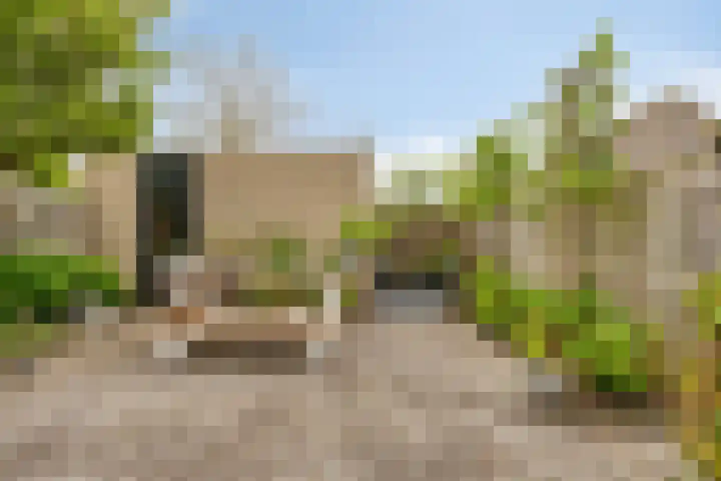 Henriëtte Roland Holstlaan 20 Elst thumbnail 26