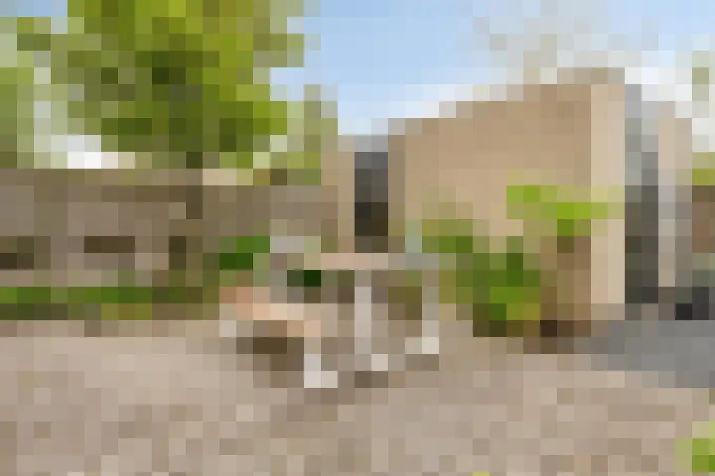 Henriëtte Roland Holstlaan 20 Elst thumbnail 27