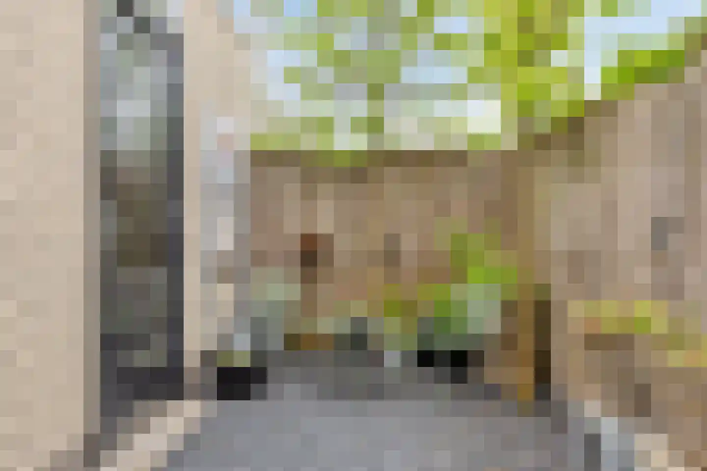 Henriëtte Roland Holstlaan 20 Elst thumbnail 28