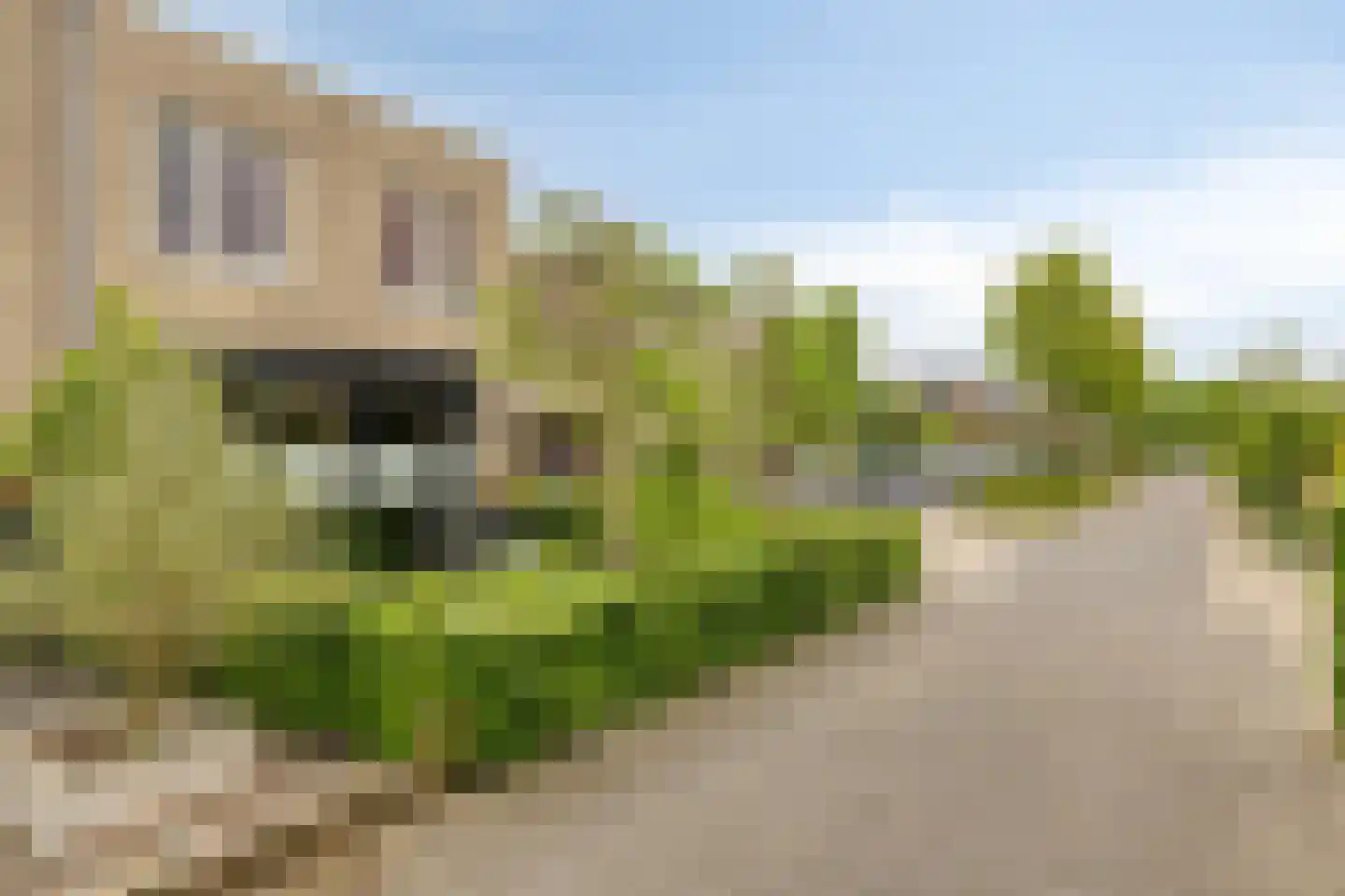 Henriëtte Roland Holstlaan 20 Elst thumbnail 31