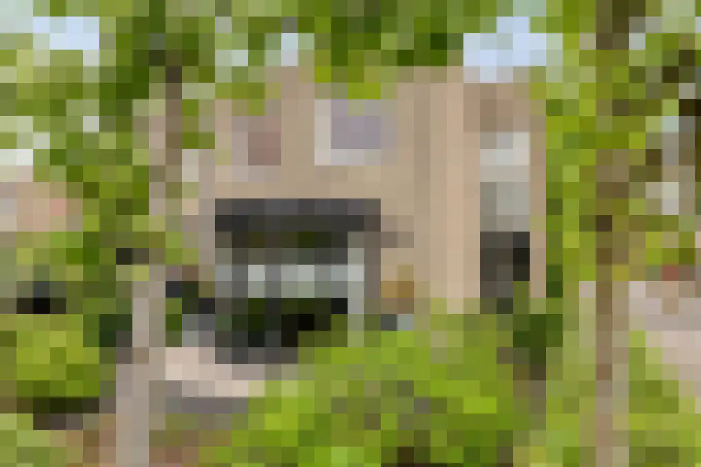 Henriëtte Roland Holstlaan 20 Elst thumbnail 32