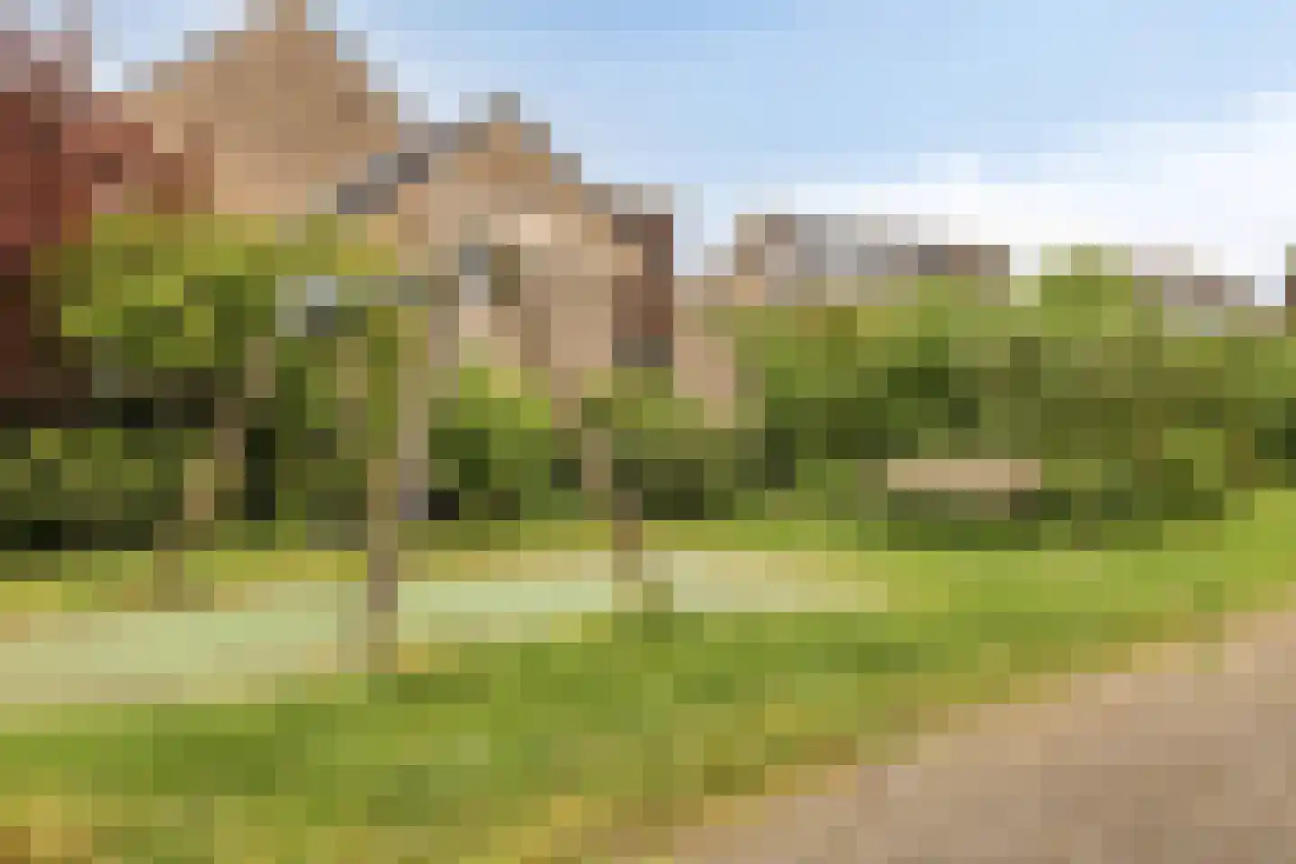 Henriëtte Roland Holstlaan 20 Elst thumbnail 33