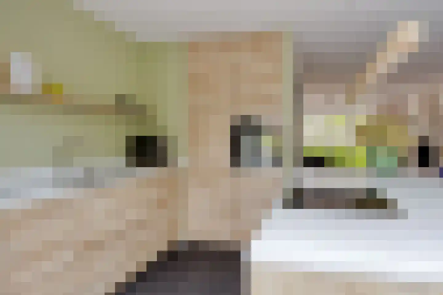 Henriëtte Roland Holstlaan 20 Elst thumbnail 4