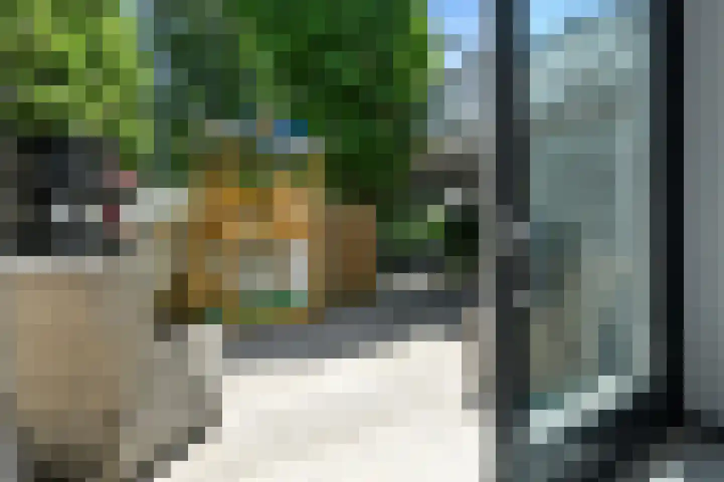 Henriëtte Roland Holstlaan 27 Elst thumbnail 13