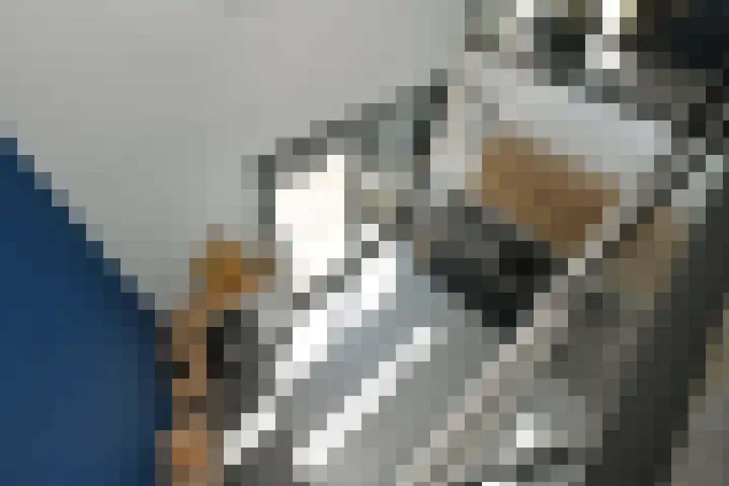 Henriëtte Roland Holstlaan 27 Elst thumbnail 14