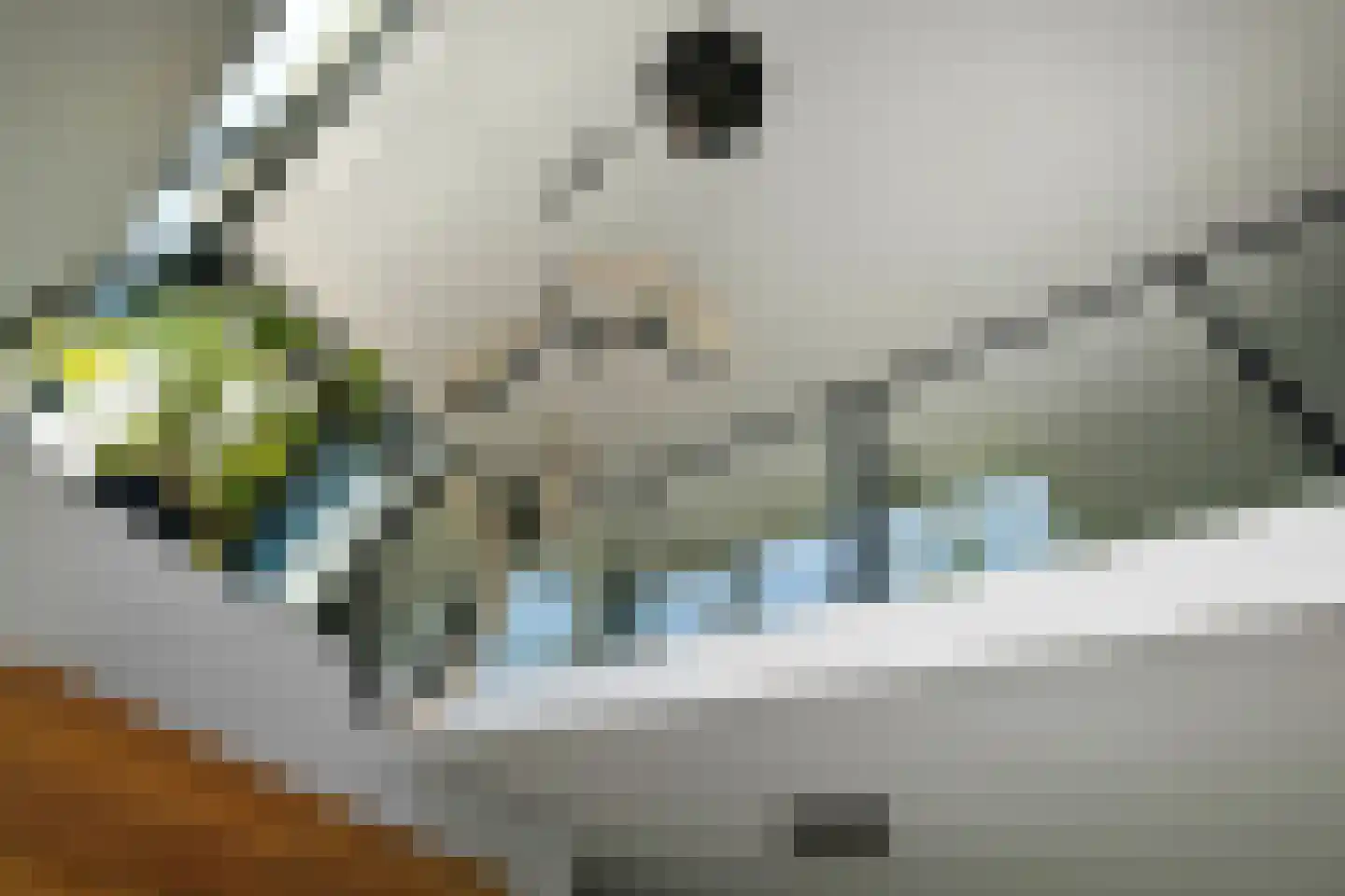 Henriëtte Roland Holstlaan 27 Elst thumbnail 15
