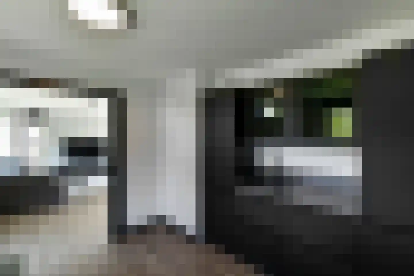 Henriëtte Roland Holstlaan 27 Elst thumbnail 32