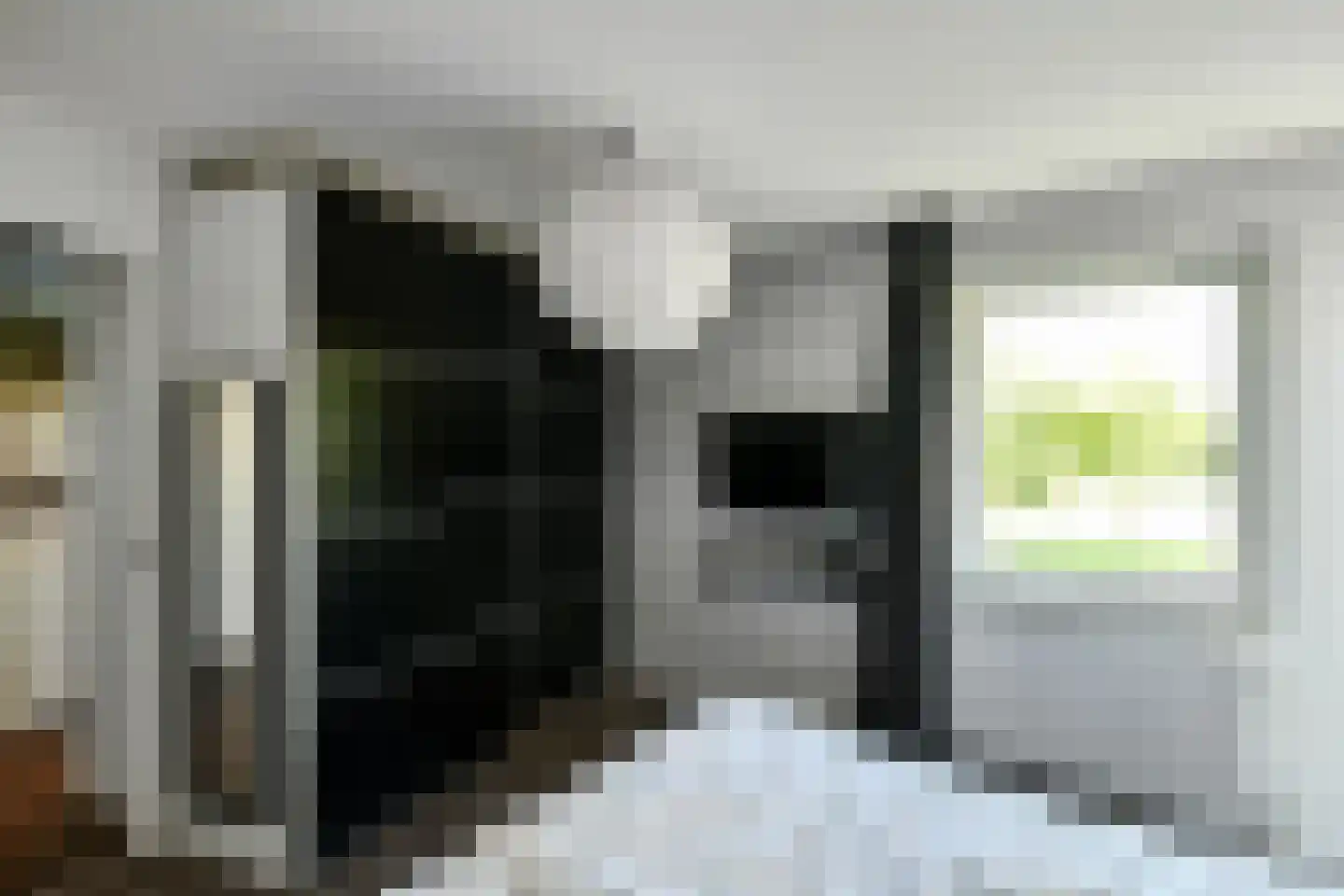 Henriëtte Roland Holstlaan 27 Elst thumbnail 38
