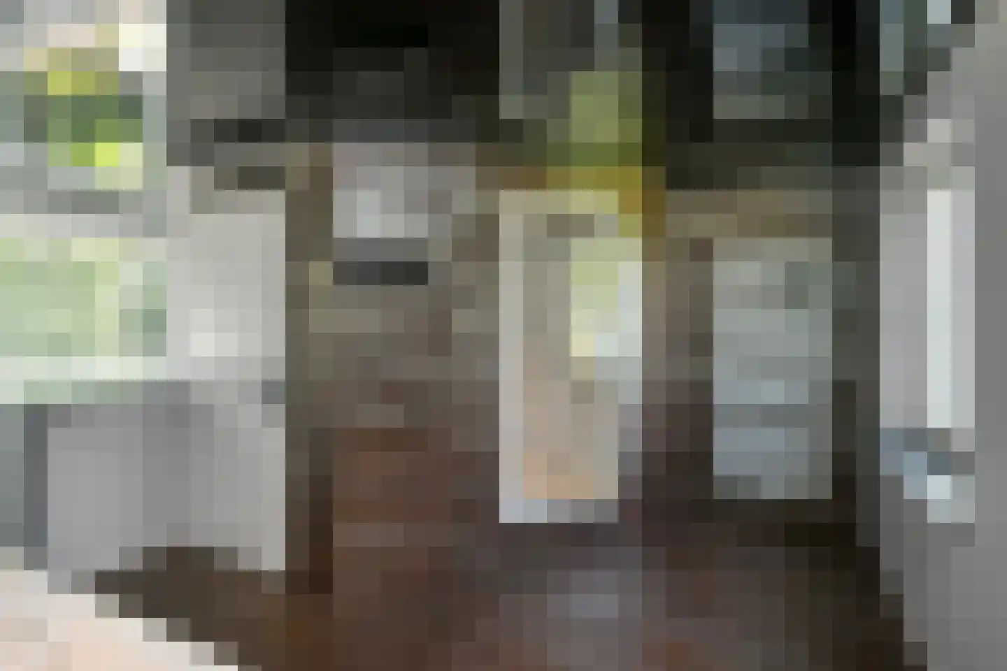 Henriëtte Roland Holstlaan 27 Elst thumbnail 43